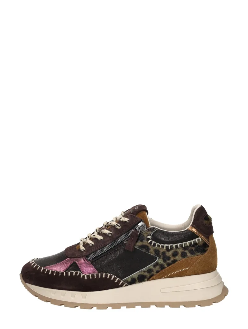 Sneakers: Piedi Nudi Hedy, lage sneakers voor dames in donkerbruin